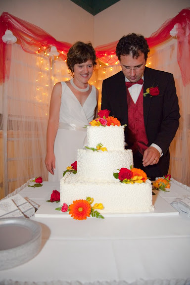 The beautiful cake. The beautiful cake.